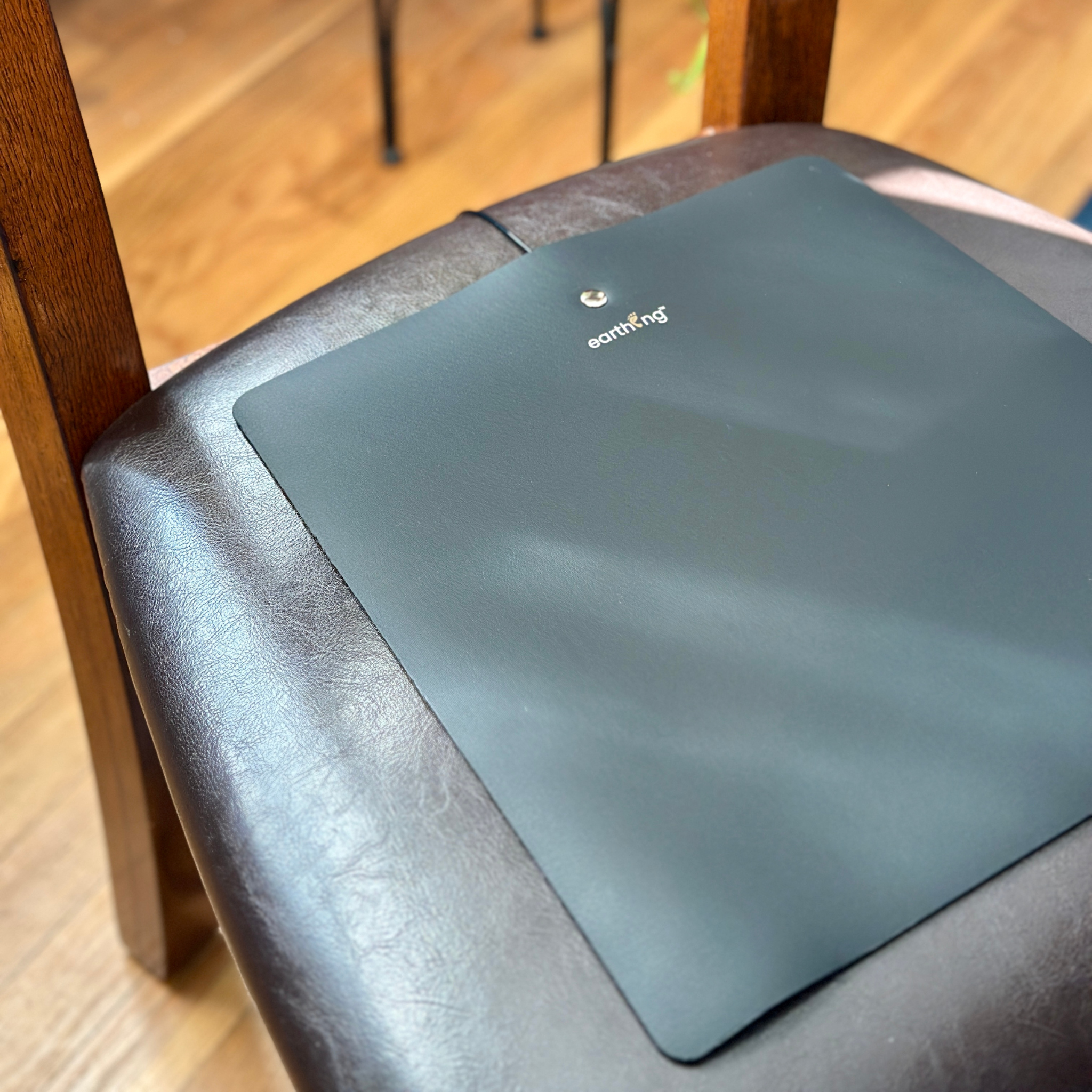 Earthing New Chair Mat Dining Room Grounding .Png